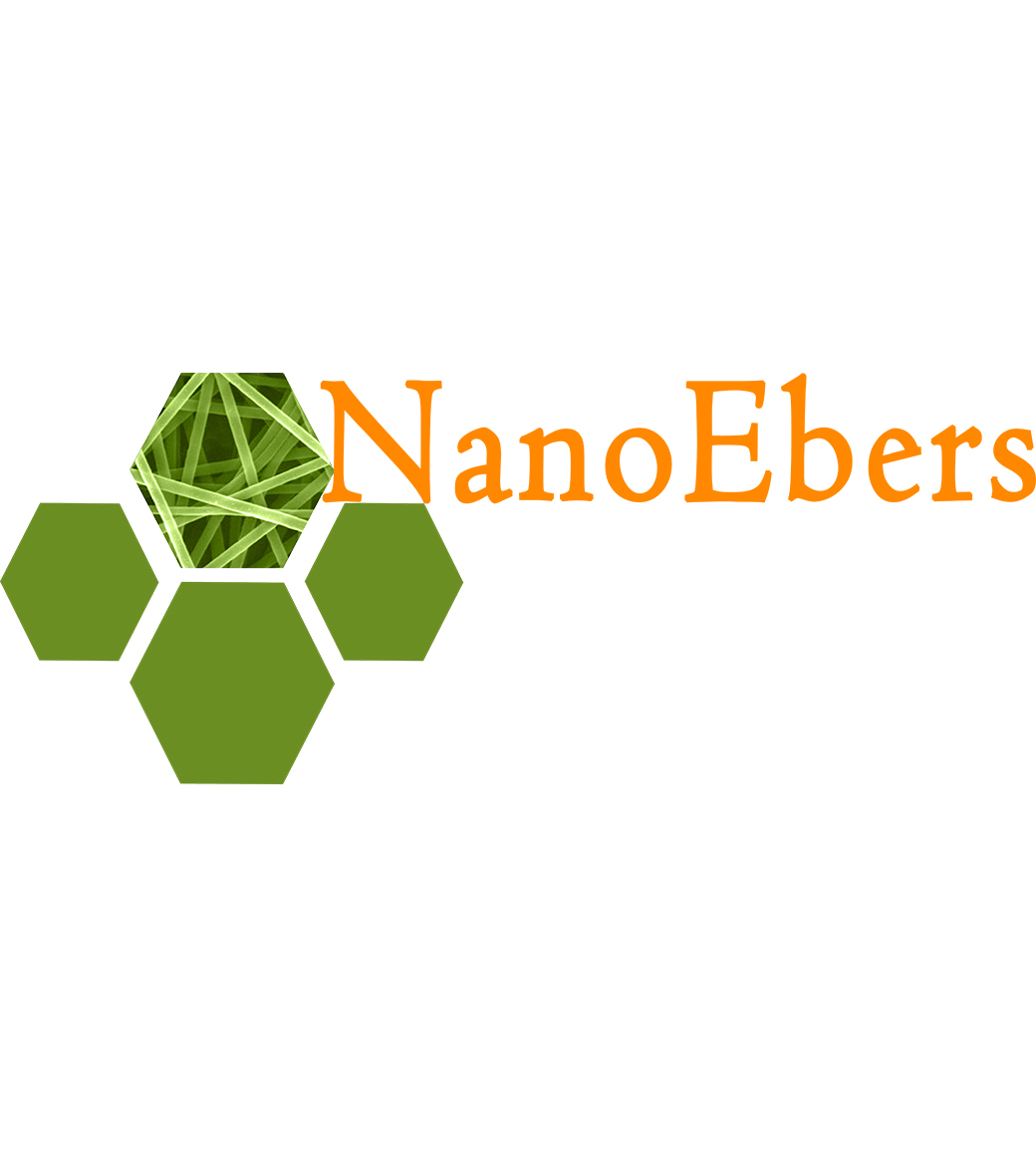 Nanoebers